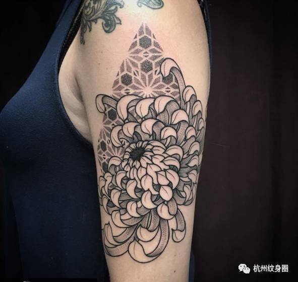 tattoo纹身素材菊花