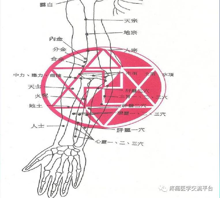 董氏奇穴详解图文