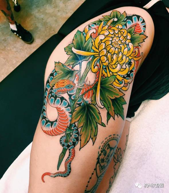 tattoo纹身素材菊花