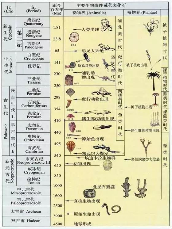 经典地质年代表值得收藏