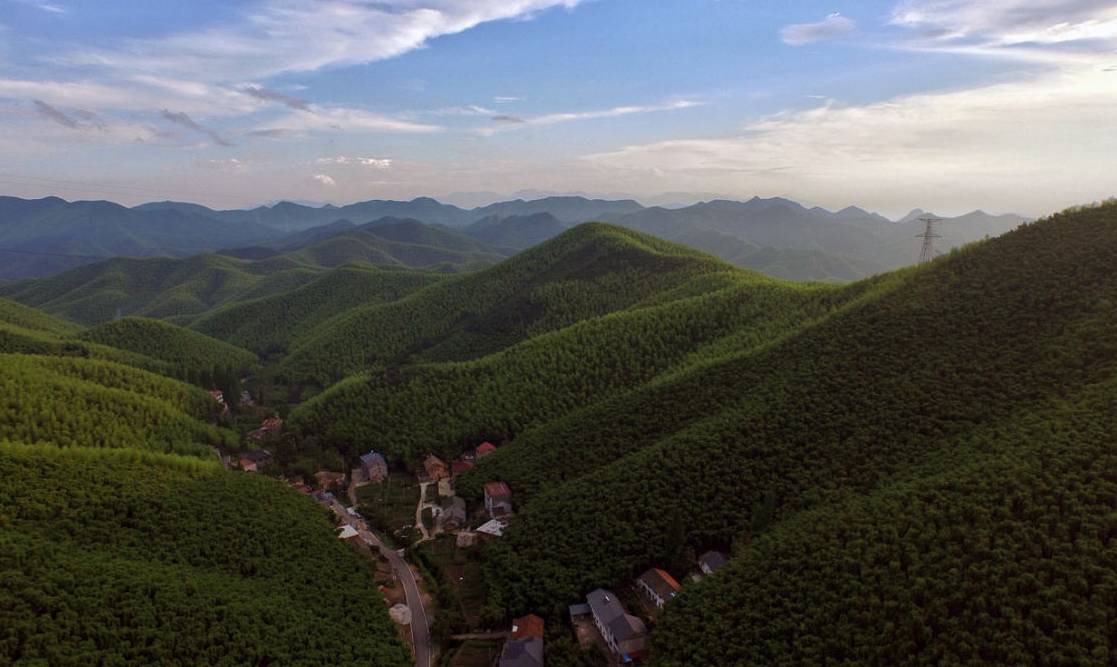 带娃错峰游莫干山| 告别裸心谷,隐居登上米兰世博会超赞的民宿!_搜狐旅游_搜狐网