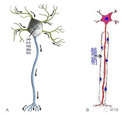 经断了怎么办