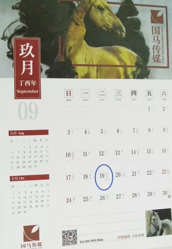 "919我爱马":今年的"中国爱马日"马上要来喽