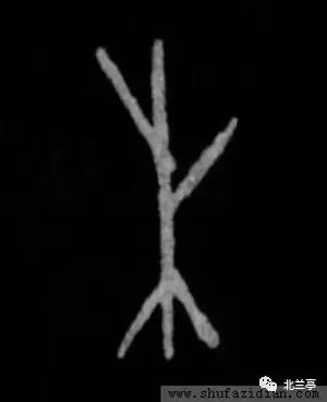 "木"是象形字,甲骨文像一株树,上部是枝下部是根;"本"是指事字,金文在