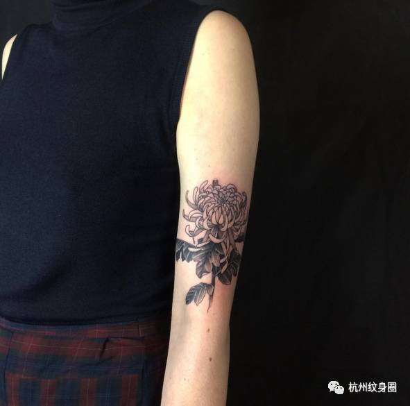 tattoo | 纹身素材:菊花