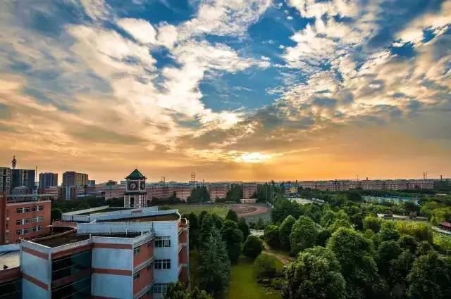 在成都上大学,每天都会受到成吨的伤害!