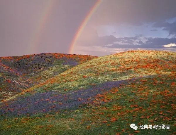 奔向彩虹好歌好曲好风光