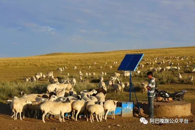 乌拉盖人口_乌拉盖草原,一个你来了就不想走的地方(3)