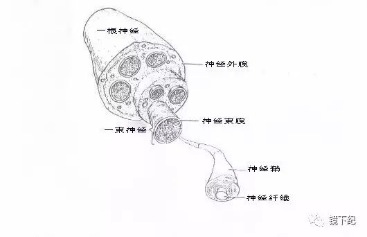 经断了怎么办