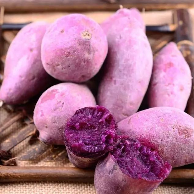 发芽紫薯,能吃吗?