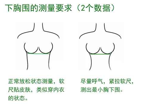 量内衣的正确方法图片_刷牙的正确方法图片(2)