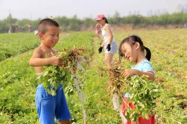 安陆多少人口_这几个安陆人掉得大,被爆光了