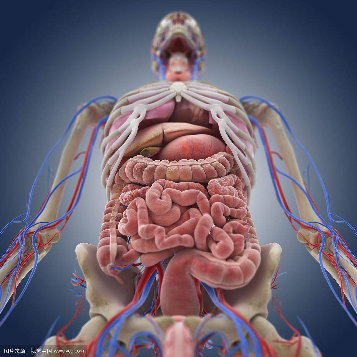 恶性腹腔积液诊疗的相关问题