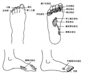 三叉神经痛:内庭穴—— 足部 , 趾间祆纹端.