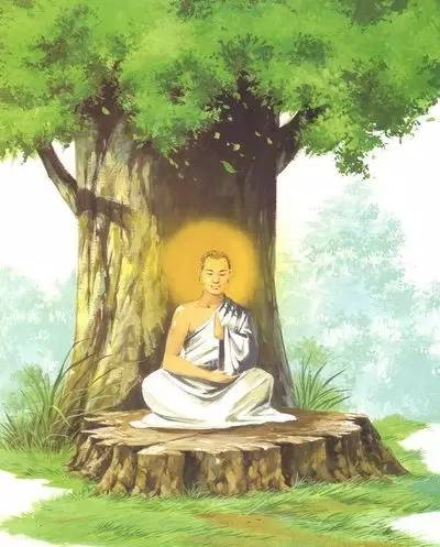 佛陀释迦牟尼佛在菩提树下,到了第七天睹明星而悟道.说:"奇哉!