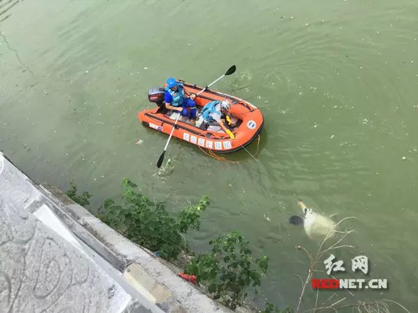 孩子被打捞上岸.