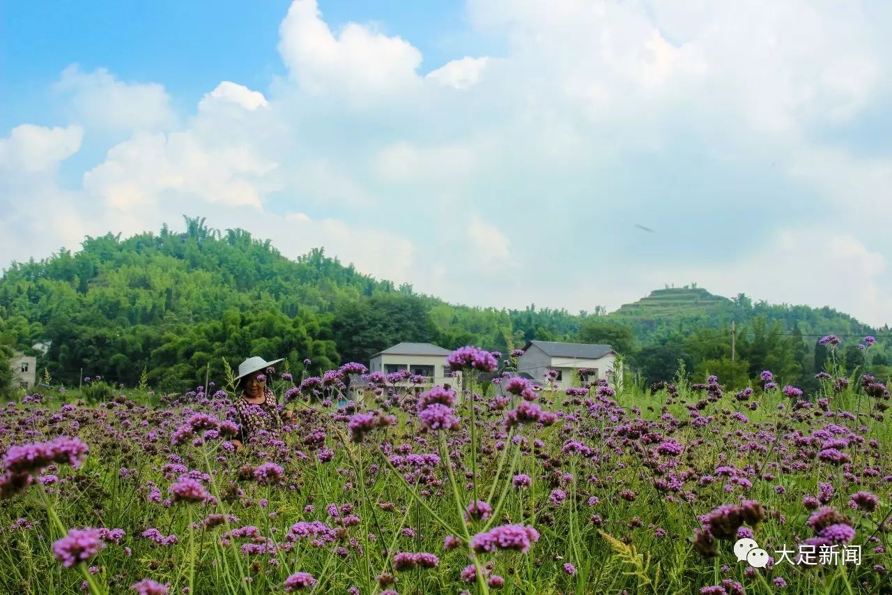 花海高升多彩乡村