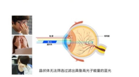 度究竟怎么调？ 科学护眼不可儿戏AG真人游戏平台入口手机屏幕亮(图3)