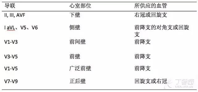 心电图导联与心室部位及冠脉供血区域的关系a.