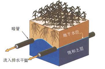 阻隔地下水向上层运动引发返盐