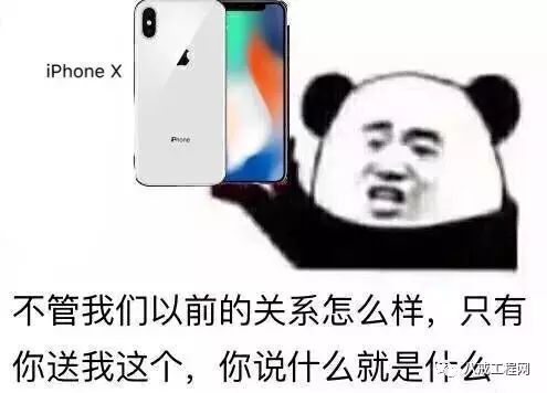 iPhoneXۣǲ˹