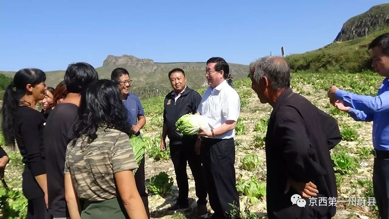 脱贫攻坚政府县长王树国深入草沟堡乡调研指导建档立卡回头看工作