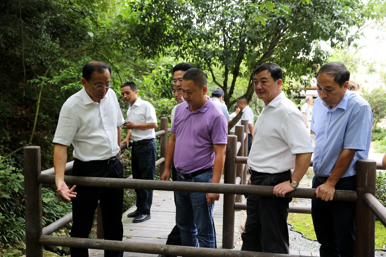 丽水市委书记史济锡高度点赞下南山乡村复兴模式