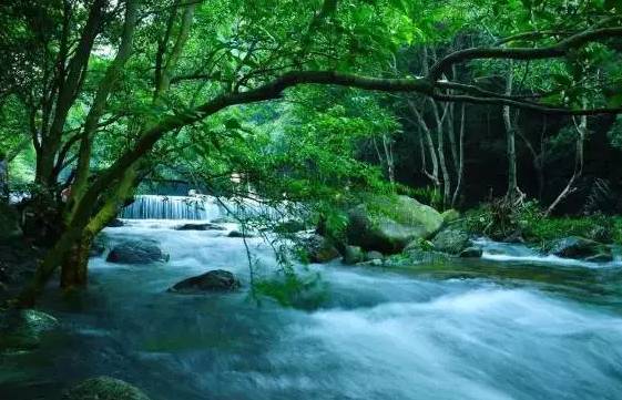 我氧你啊!罗浮山荣获"中国天然氧吧"称号,生活在这里真幸福!