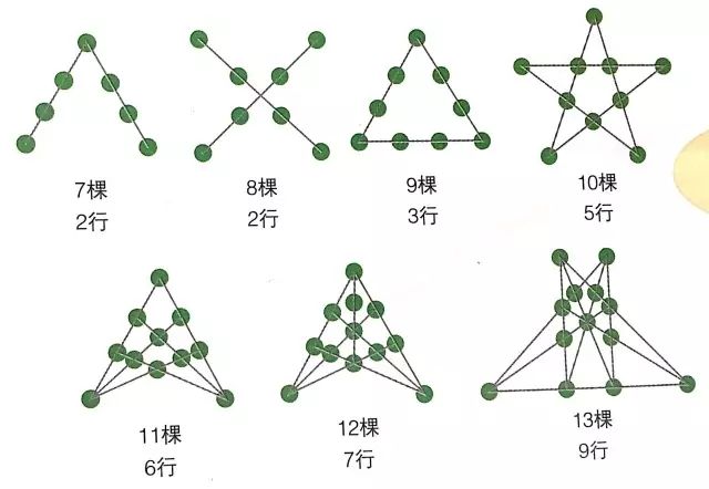 经典数学牛顿植树问题