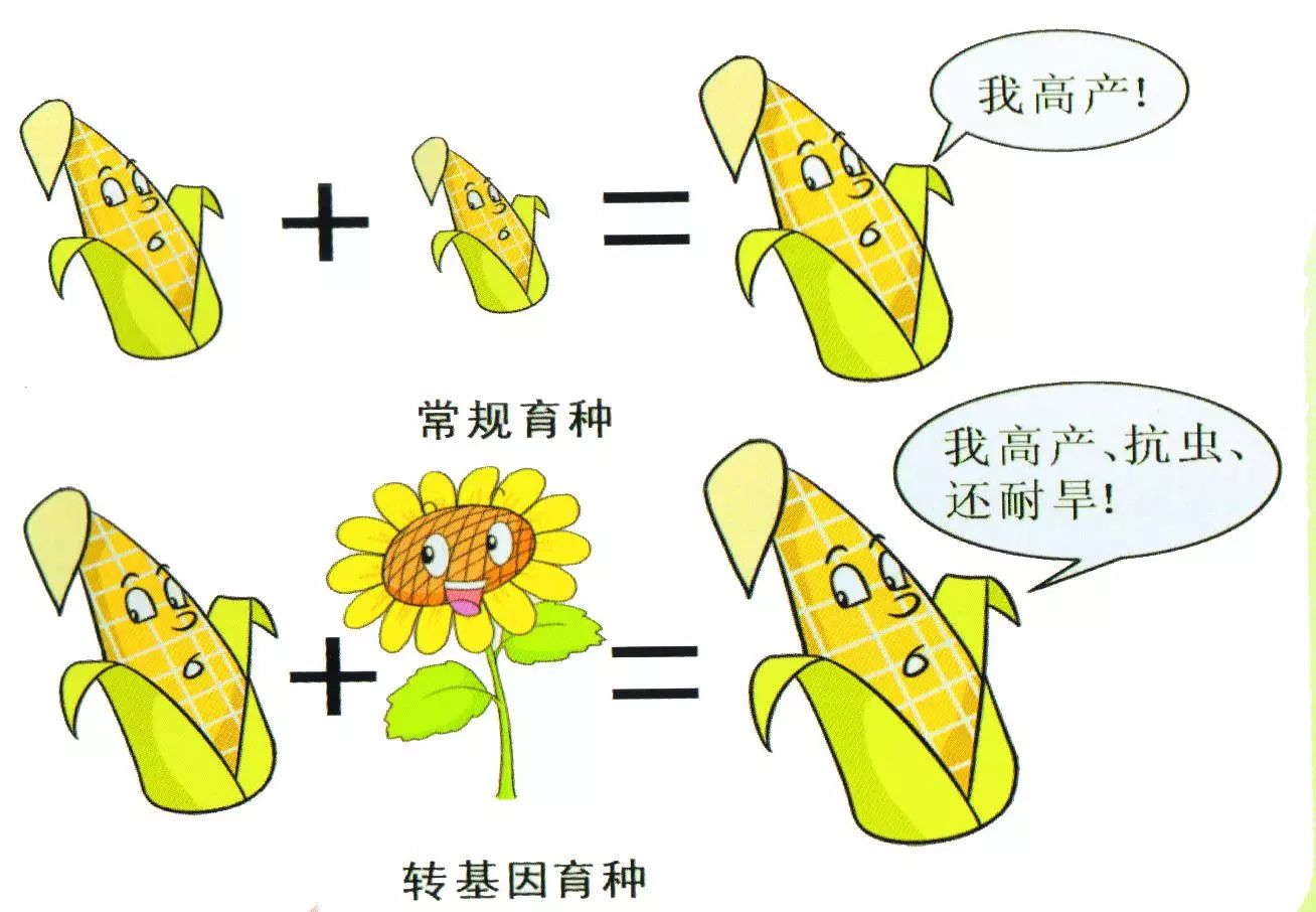 转基因技术研究进展及在动物生产中的应用