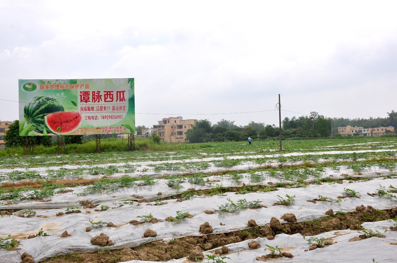 大谭镇人口_哥谭镇小丑图片(2)