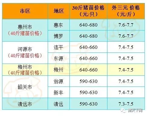 保育招聘_经典面试真题精讲示范之政治 培训课程(2)