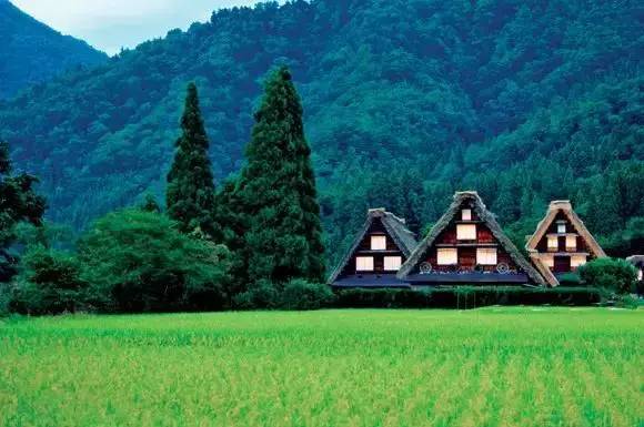 上胜町 德岛县会津若松 福岛县佐渡 新潟县南小国町 熊本县这些美丽的