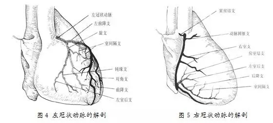 支架手术后胸闷怎么办