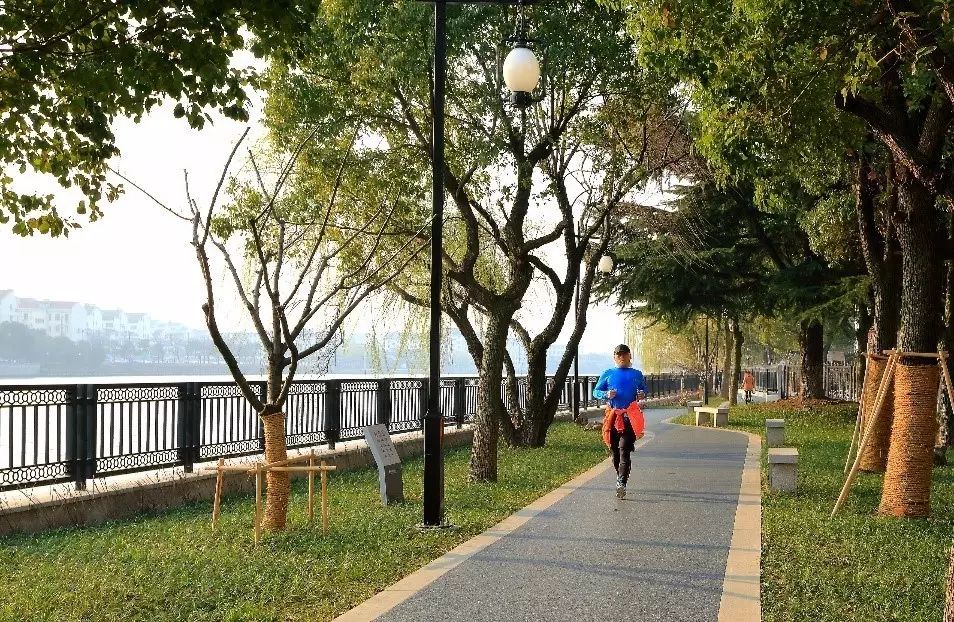 环古城河健身步道,是苏州市委,市政府为市民和游客提供绿色,生态,健身