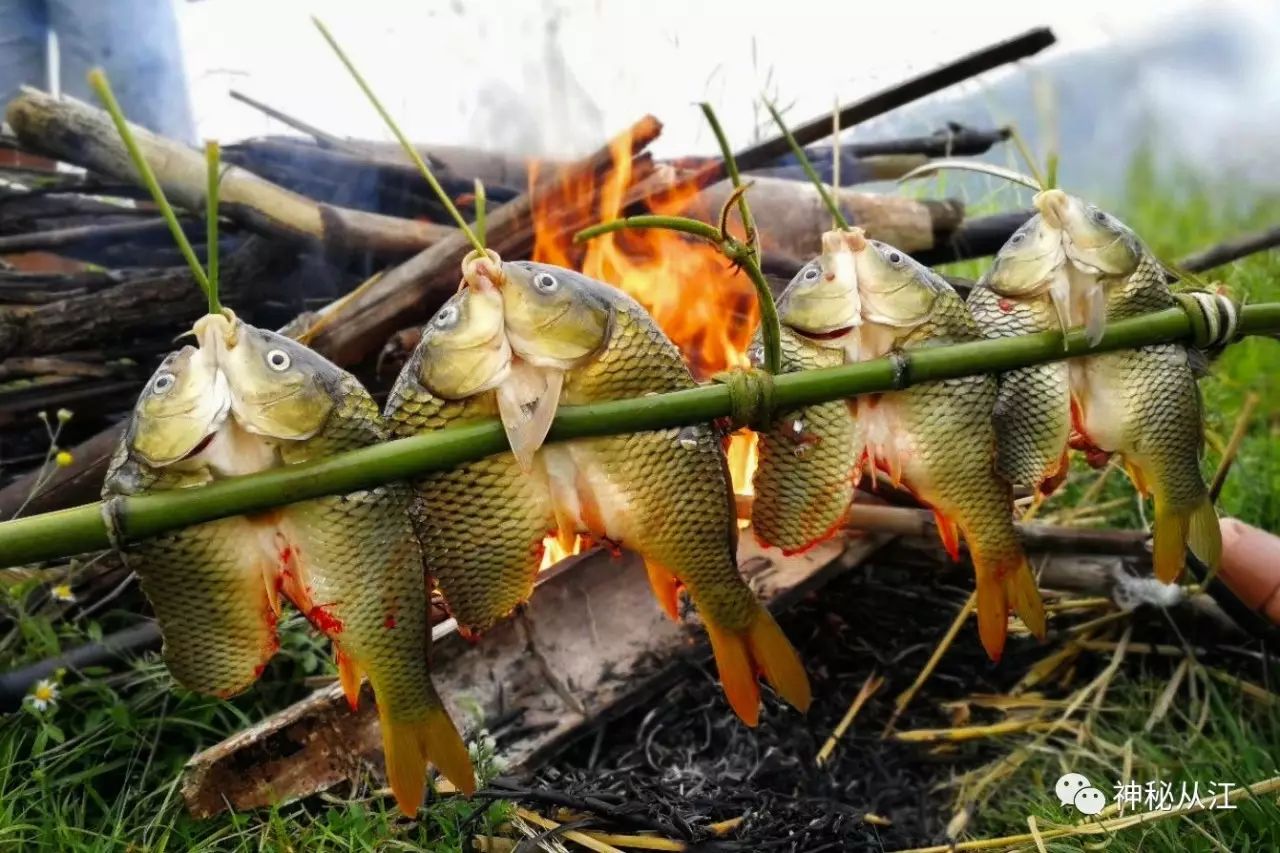 舌尖上的美食——从江侗族烧鱼