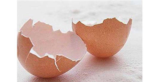 因为鸡蛋壳上有气孔和薄膜,清洗过程中会把膜破坏掉, 细菌容易通过