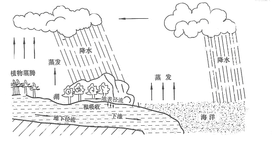 地球上水的蒸发与冷凝微重力条件使得许多因重力而产生的力项得以