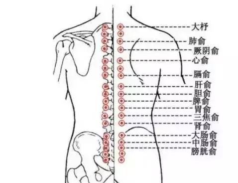 从背部痧色可以看出身体状况真的很神奇