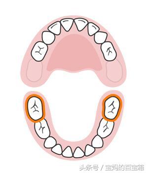 宝宝什么时候出什么牙?宝宝长牙顺序图:可对比出牙是否标准