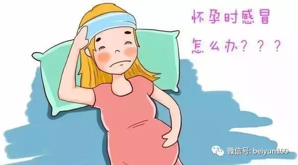 怀孕了发烧感冒怎么办