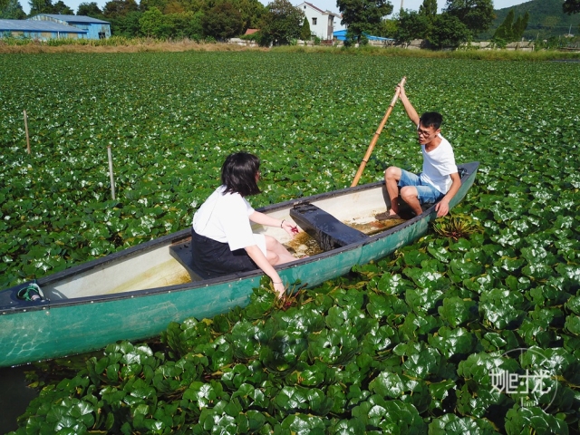 划船是件力气活,因为密密麻麻的水菱浮在水面上,我们必须用更大的力