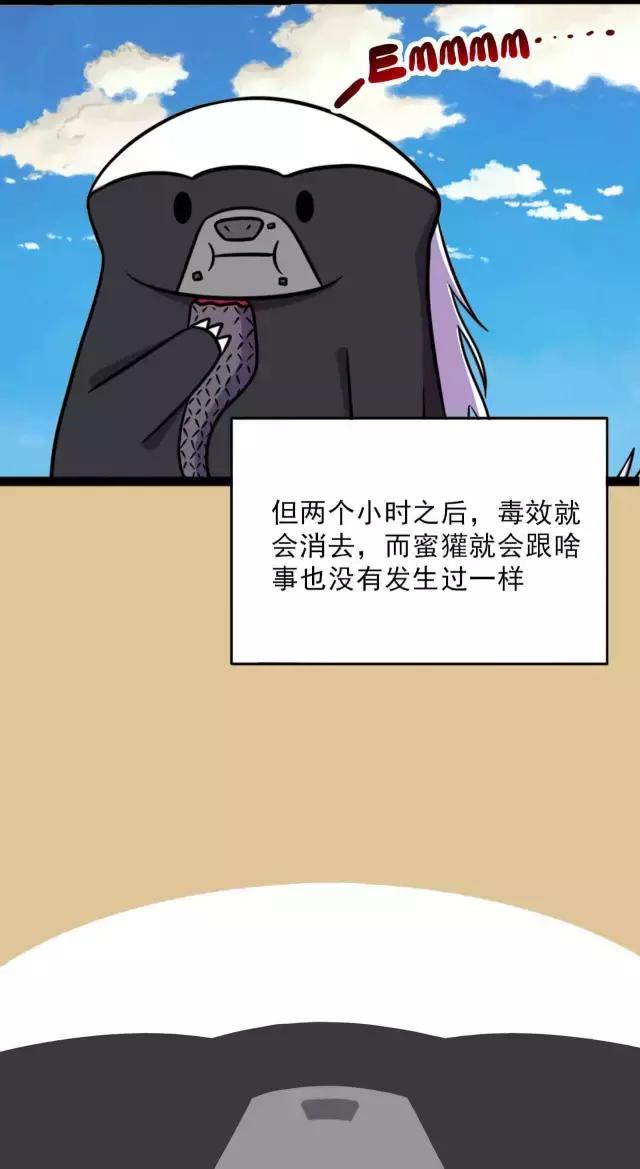 平头哥漫画,最无畏无惧的动物,拾部次元_搜狐动漫