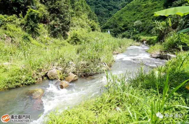 官垌大山深处这段河流小瀑布竟多达7个,美呆!适宜做漂流