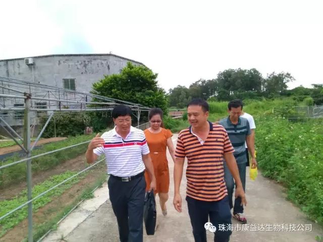 参观,考察其位于电白区林头镇新墟村的大型生态健康养龟场