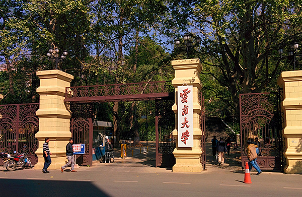 8,云南大学