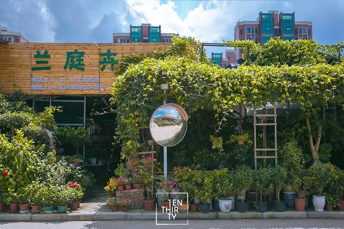 武汉花木市场地图,够我逛一年