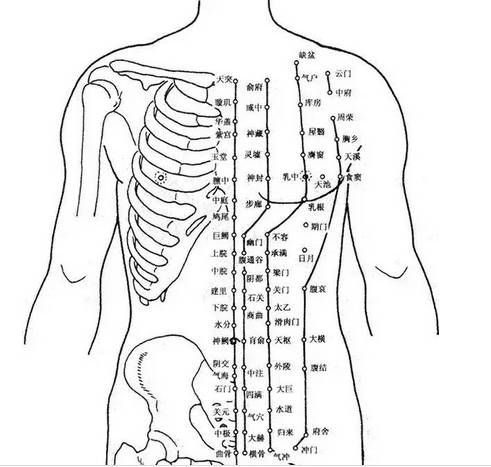男女经络穴位图集
