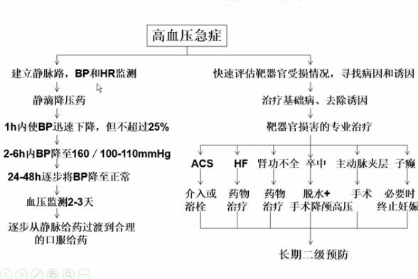 高血压急症,千万别忽视了真正的"元凶(文末有彩蛋)