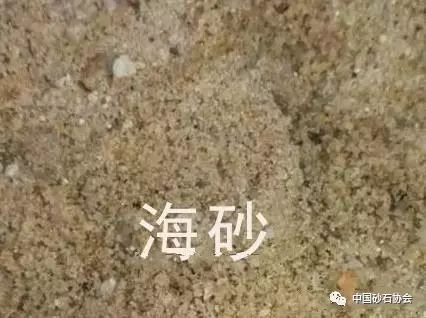 聚焦| 海砂建房可致楼房坍塌!谨防"海砂"冒充"河砂"!